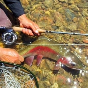 Douglas SKY Fly Rod - Conejos River Anglers