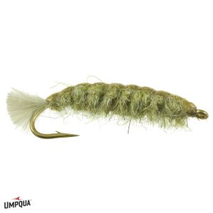 Crane Fly Larvae - Conejos River Anglers