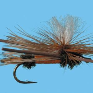 Para. X - Conejos River Anglers
