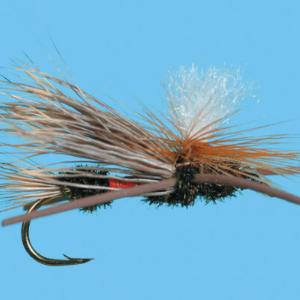 Para. X - Conejos River Anglers