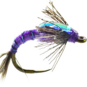 Shotglass Baetis, Tungsten Bead - Conejos River Anglers