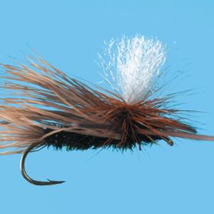 Para. X - Conejos River Anglers