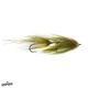 BABY SWIM COACH - Conejos River Anglers