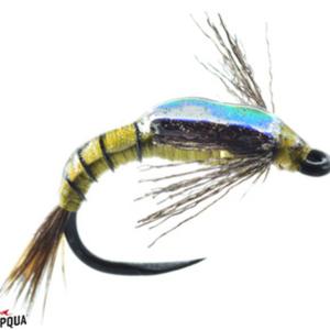 Shotglass Baetis, Tungsten Bead - Conejos River Anglers