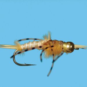 Tungsten Golden Stone - Conejos River Anglers